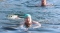 Plivanje za casni krst 2020 (25) (Custom)